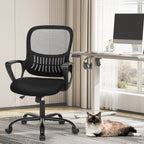 Ergonomic Office Chair with Lumbar Support, Adjustable Height, and Armrests