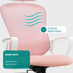 Ergonomic High-Back Office Chair with Adjustable Headrest, Lumbar Support, Thick Cushion