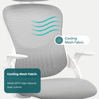 Ergonomic High-Back Office Chair with Adjustable Headrest, Lumbar Support, Thick Cushion