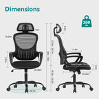 Ergonomic High-Back Office Chair with Adjustable Headrest, Lumbar Support, Thick Cushion