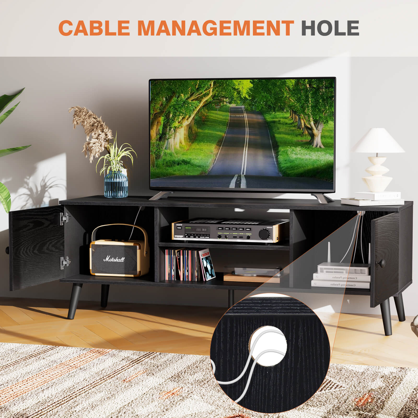 Modern Wooden TV Stand, 60-inch, Adjustable Shelves, Double Storage Cabinets